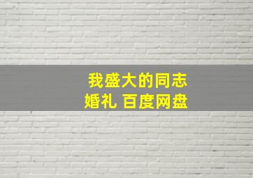 我盛大的同志婚礼 百度网盘